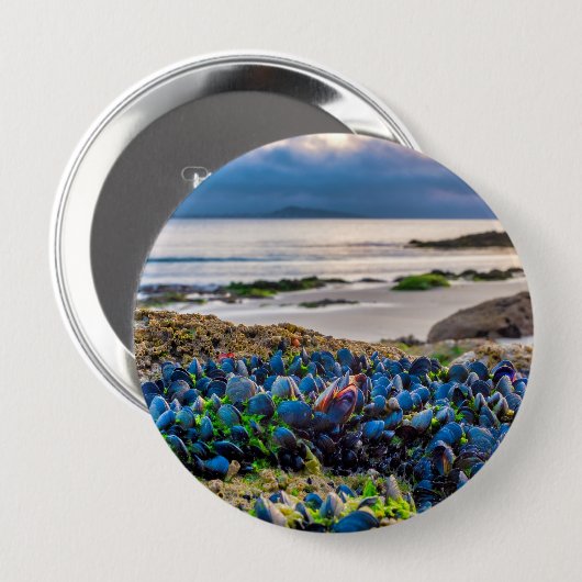 Mussels Button (Vorne & Hinten)