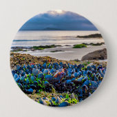 Mussels Button (Vorderseite)