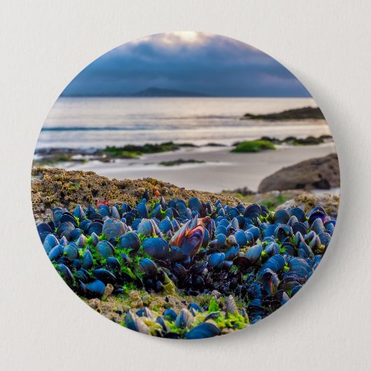 Mussels Button (Vorderseite)