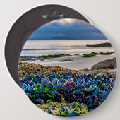 Mussels Button (Vorne & Hinten)