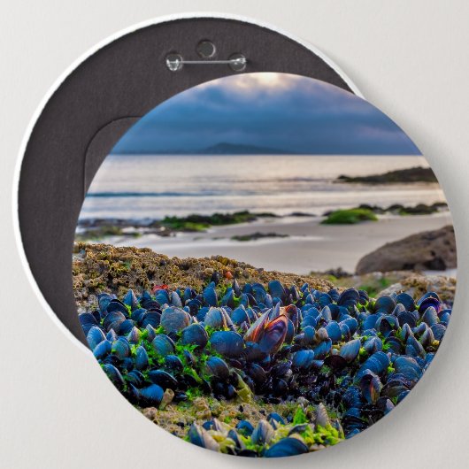 Mussels Button (Vorne & Hinten)