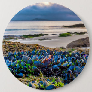 Mussels Button