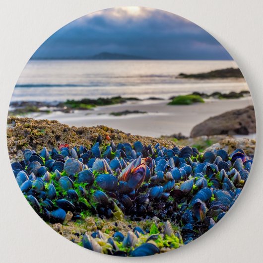 Mussels Button (Vorderseite)