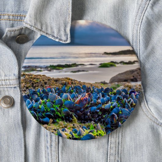 Mussels Button (Beispiel)