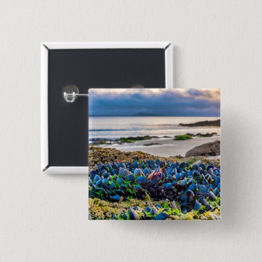 Mussels Button (Vorne & Hinten)