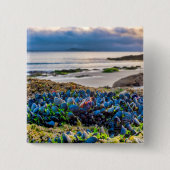 Mussels Button (Vorderseite)