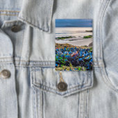 Mussels Button (Insitu)