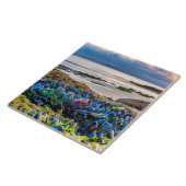 Mussels Fliese (Seite)