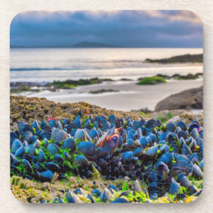 Mussels Getränkeuntersetzer