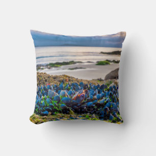 Mussels Kissen