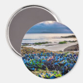 Mussels Magnet (Vorderseite/Rückseite)
