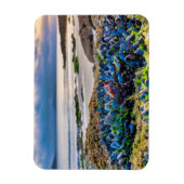 Mussels Magnet (Vertikal)