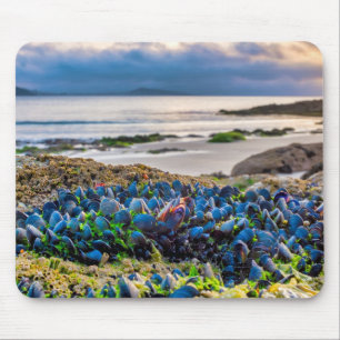 Mussels Mousepad
