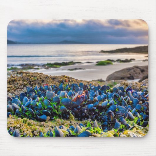 Mussels Mousepad (Vorne)