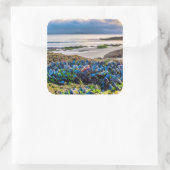 Mussels Quadratischer Aufkleber (Tasche)