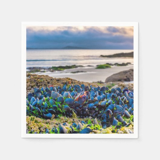 Mussels Serviette (Vorderseite)