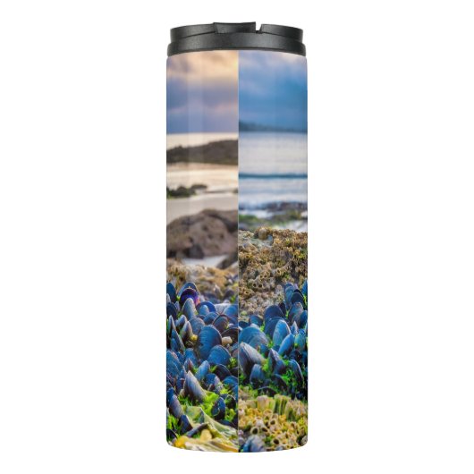 Mussels Thermosbecher (Rückseite)