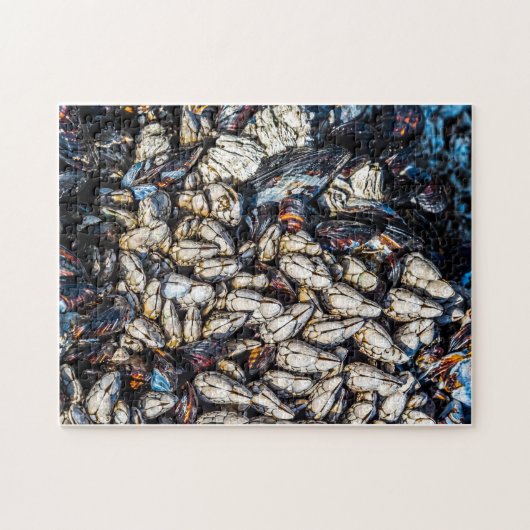 Mussels und Gooseneck Barnacles - Tofino, BC. Puzzle (Horizontal)