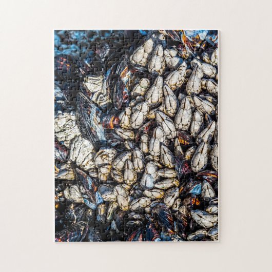 Mussels und Gooseneck Barnacles - Tofino, BC. Puzzle (Vertikal)