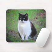 MUSTACHE CAT SCHAUT. MOUSEPAD (Mit Mouse)