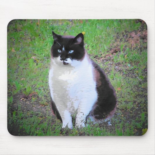 MUSTACHE CAT SCHAUT. MOUSEPAD (Vorne)