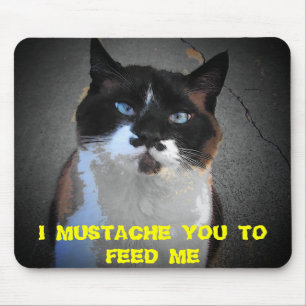 MUSTACHE SIE KATZE IST HUNGRY MOUSEPAD