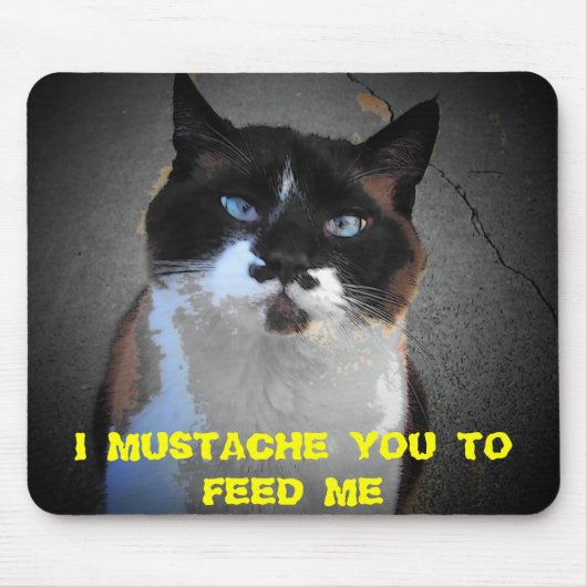 MUSTACHE SIE KATZE IST HUNGRY MOUSEPAD (Vorne)