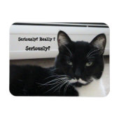 Mustache Tuxedo Cat (ernsthaft?) Magnet (Horizontal)