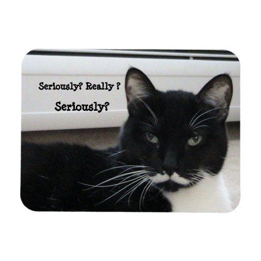 Mustache Tuxedo Cat (ernsthaft?) Magnet (Horizontal)