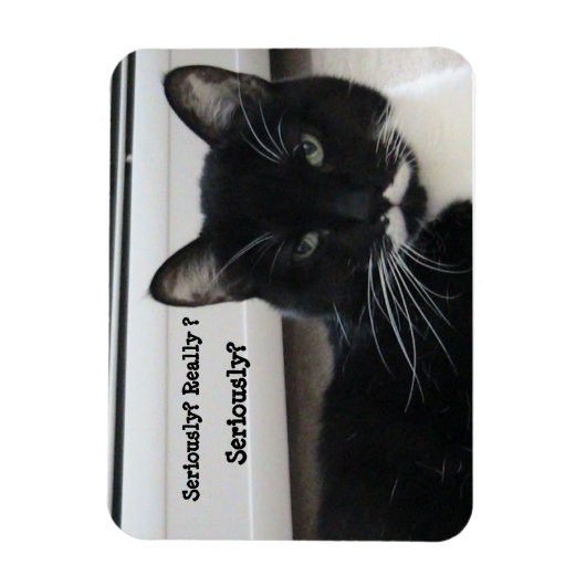 Mustache Tuxedo Cat (ernsthaft?) Magnet (Vertikal)