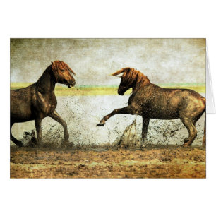 Mustang Battle