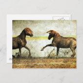 Mustang Battle Postkarte (Vorne/Hinten)