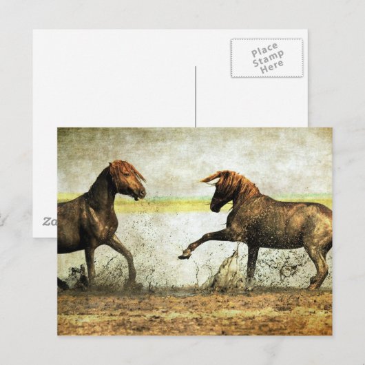 Mustang Battle Postkarte (Vorne/Hinten)