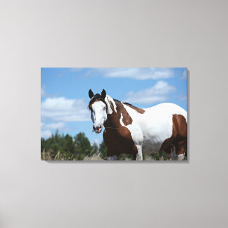 Mustang Custom Canvas Print (30.18"x19.12")1.5", Leinwanddruck