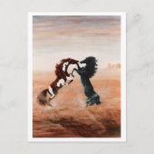 Mustang Fantasy Postkarte (Vorderseite)