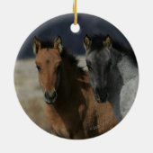 Mustang Foal Headshot Keramik Ornament (Hinten)