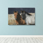 Mustang Foal Headshot Leinwanddruck (Insitu (Holzboden))