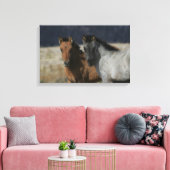 Mustang Foal Headshot Leinwanddruck (Insitu (Wohnzimmer))