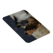 Mustang Foal Headshot Magnet (Rechte Seite)