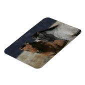 Mustang Foal Headshot Magnet (Linke Seite)