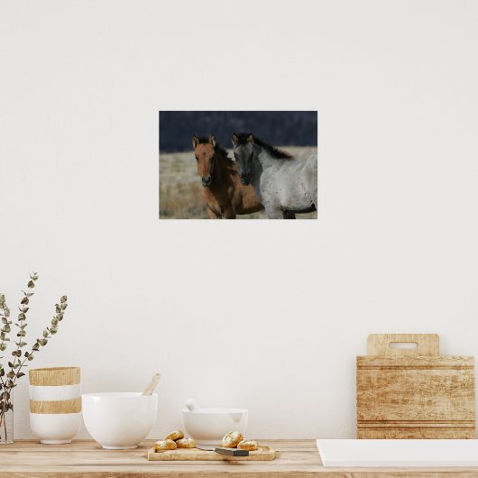 Mustang Foal Headshot Poster (Küche)