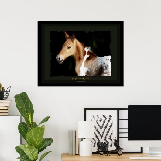 Mustang Foal Print Poster (Heimbüro)