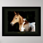 Mustang Foal Print Poster (Vorne)