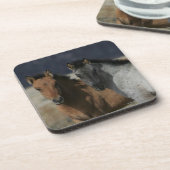 Mustang-FohlenHeadshot Getränkeuntersetzer (Linke Seite)