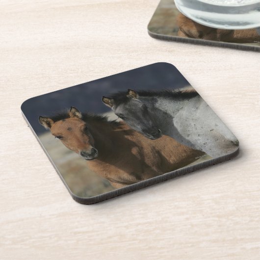 Mustang-FohlenHeadshot Getränkeuntersetzer (Linke Seite)