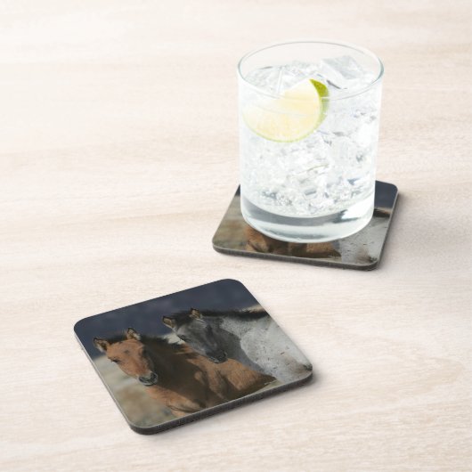Mustang-FohlenHeadshot Getränkeuntersetzer (Rechte Seite)