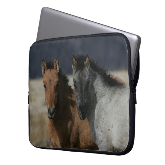 Mustang-FohlenHeadshot Laptopschutzhülle (Vorderseite Links)