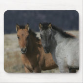 Mustang-FohlenHeadshot Mousepad (Vorne)
