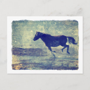 Mustang Gallops on Beach Postkarte