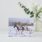 Mustang-Geist Postkarte (Stehend Vorderseite)